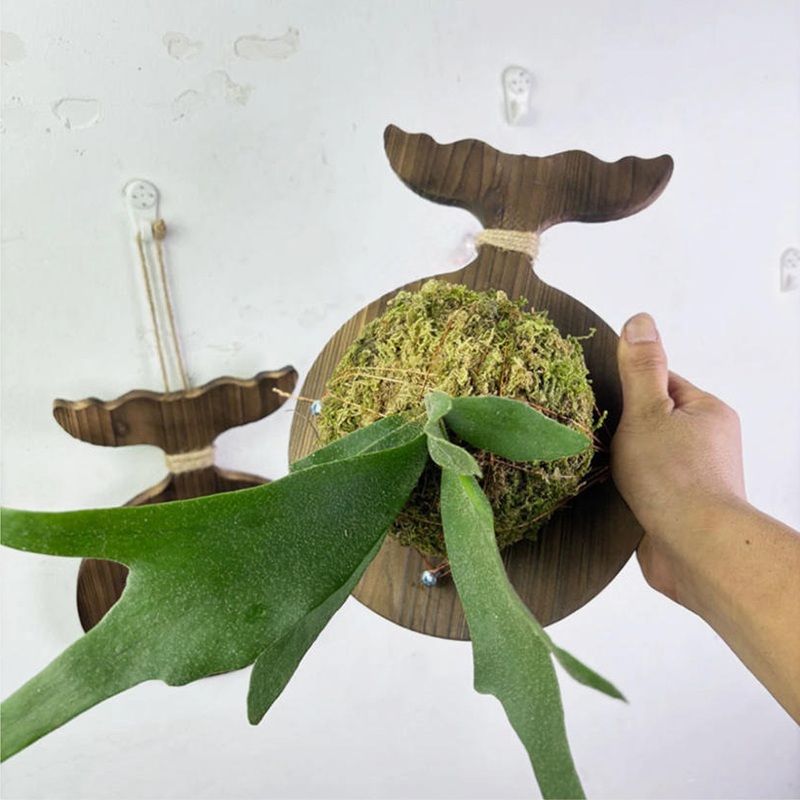 Papan Dinding Kayu Baru untuk  - Woven Wall Basket ulasan dan harga