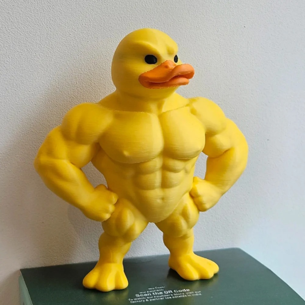 Patung Bebek Berotot - Dekoras - Home Decor Duck ulasan dan harga